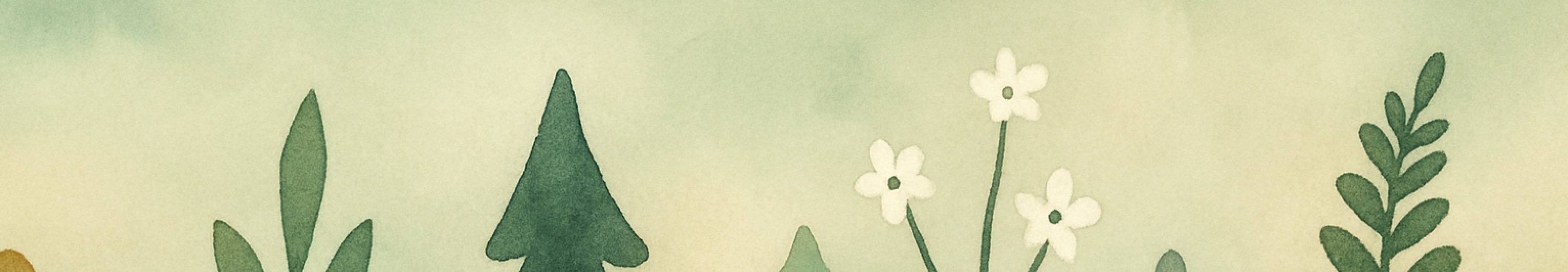 immagine banner chiave