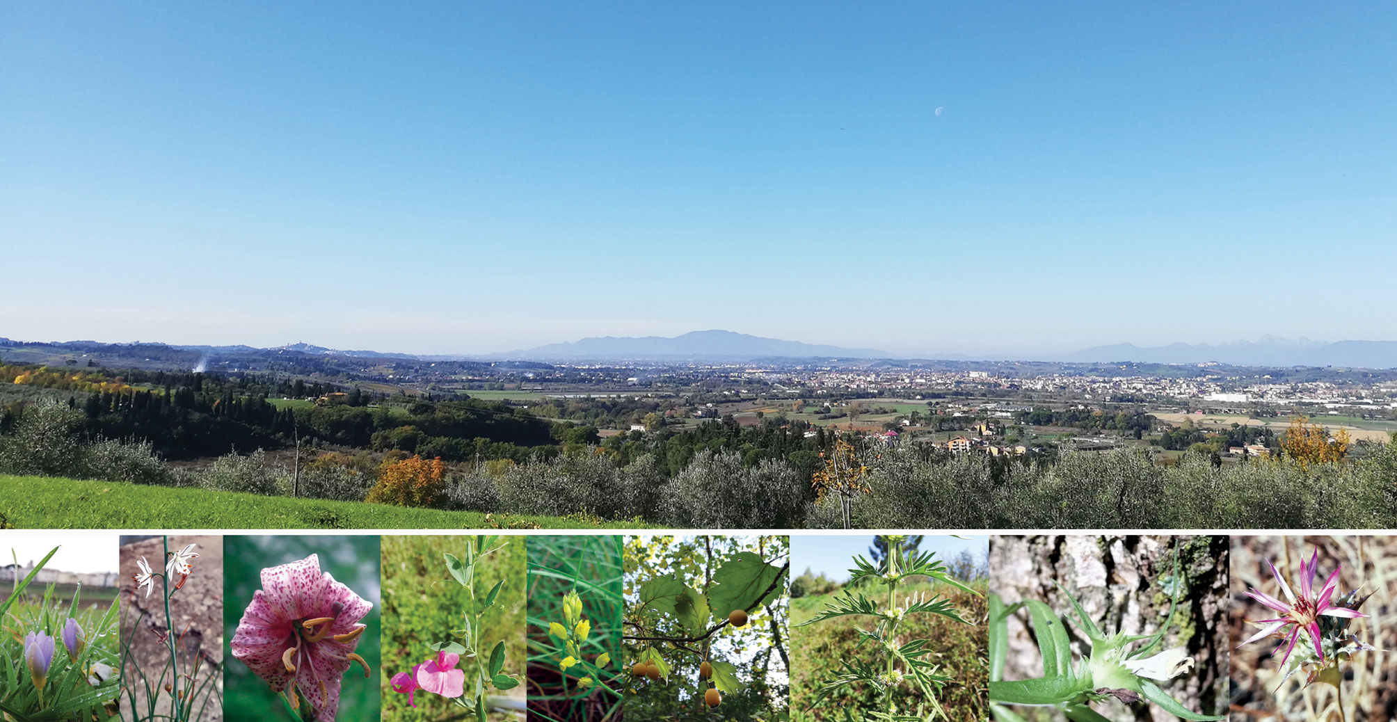 immagine banner chiave