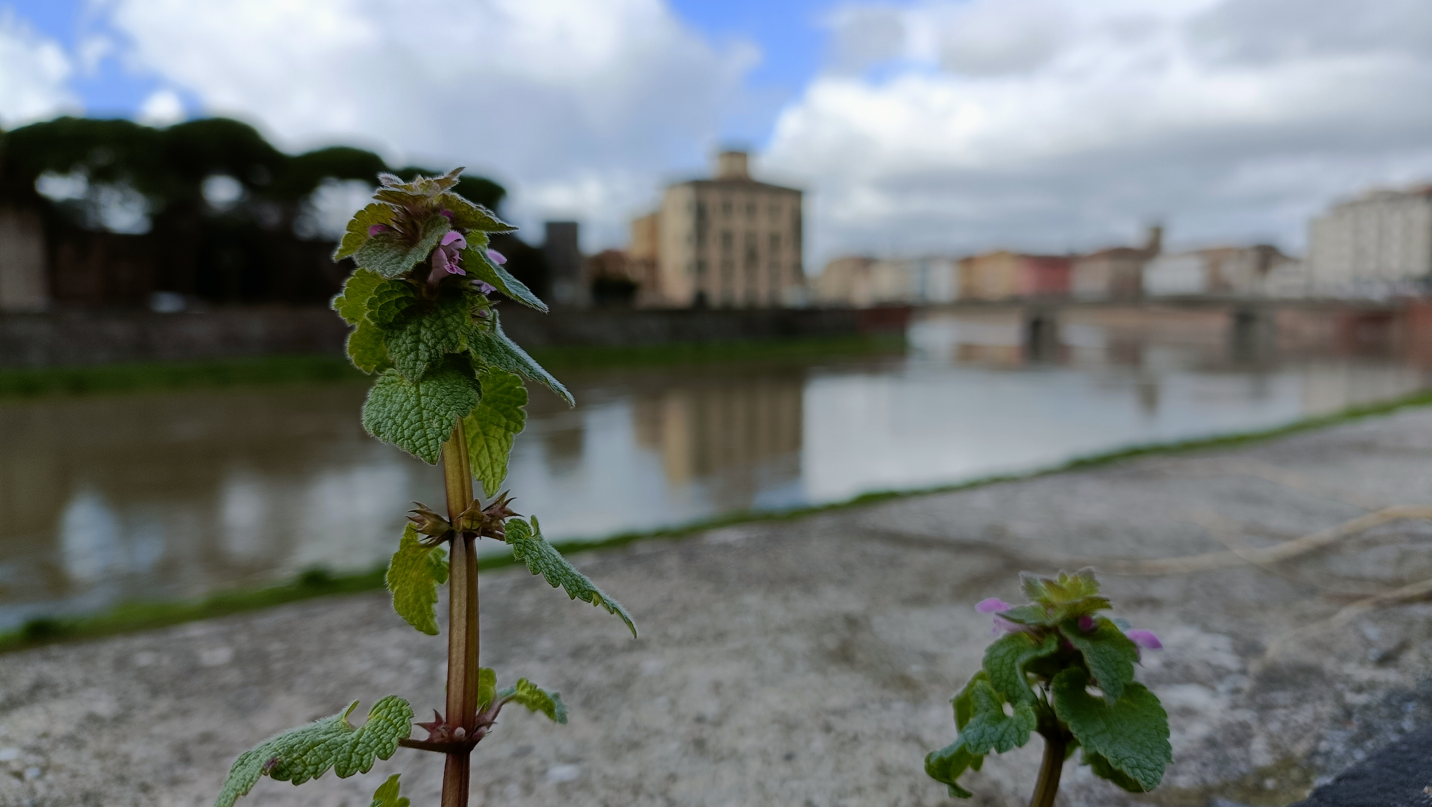 immagine banner chiave